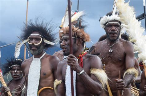 2,800+ West Papua Culture Stock Photos, Pictures & Royalty-Free Images ...