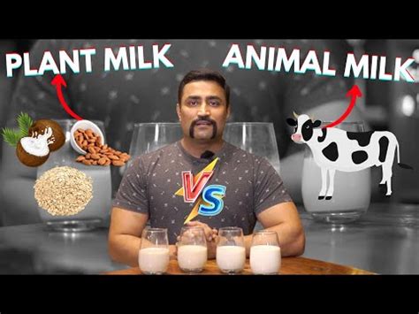 Oats/Almond/Soy Milk vs Cow/Buffalo Milk ?? - Video Summarizer - Glarity