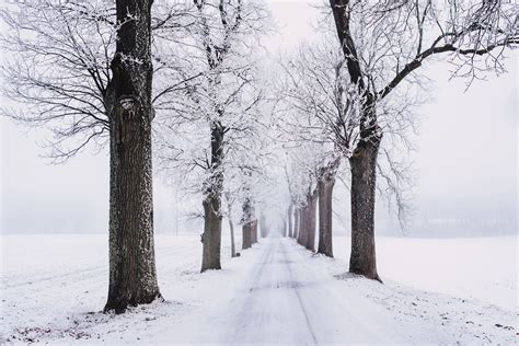 Snow Images · Pexels · Free Stock Photos