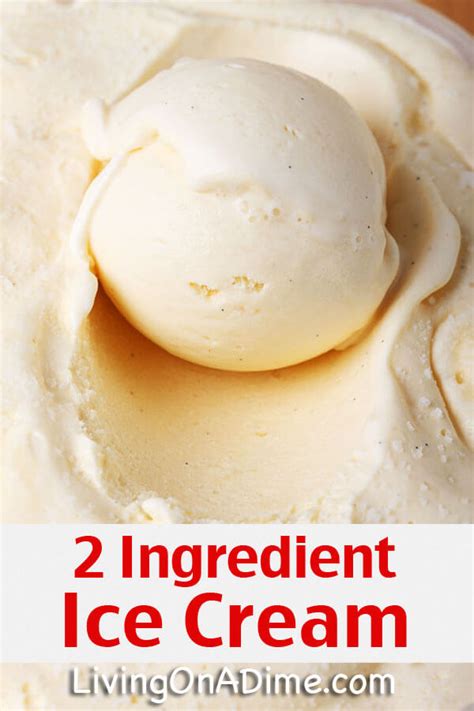 12 Easy 2 Ingredient Homemade Ice Cream Recipes!