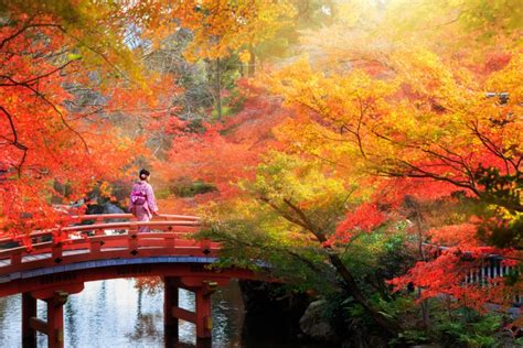 10 Best Places to See Autumn Leaves in Japan - Japan Rail Pass