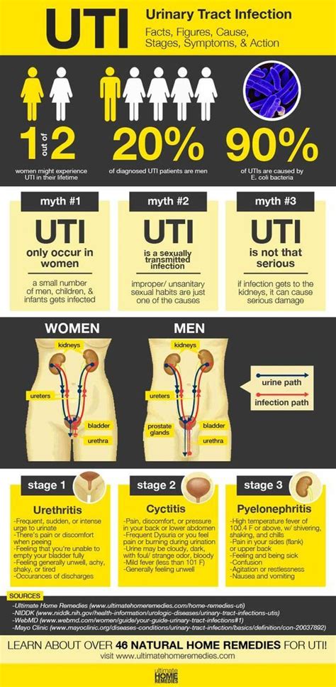 Uti in babies home remedies information | hostalelportalico