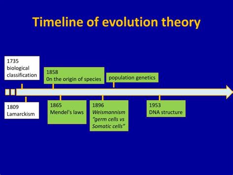 PPT - Developmental Biology and Evolution PowerPoint Presentation - ID ...