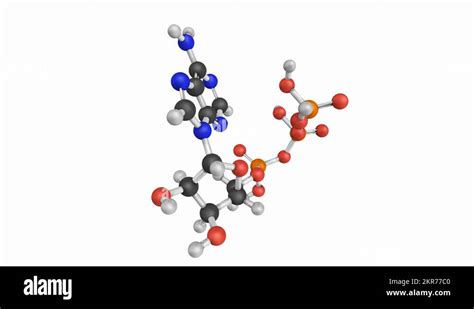 Molecule of atp Stock Videos & Footage - HD and 4K Video Clips - Alamy