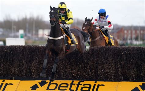 Cheltenham Gold Cup runners, riders, favourites and odds for 2024