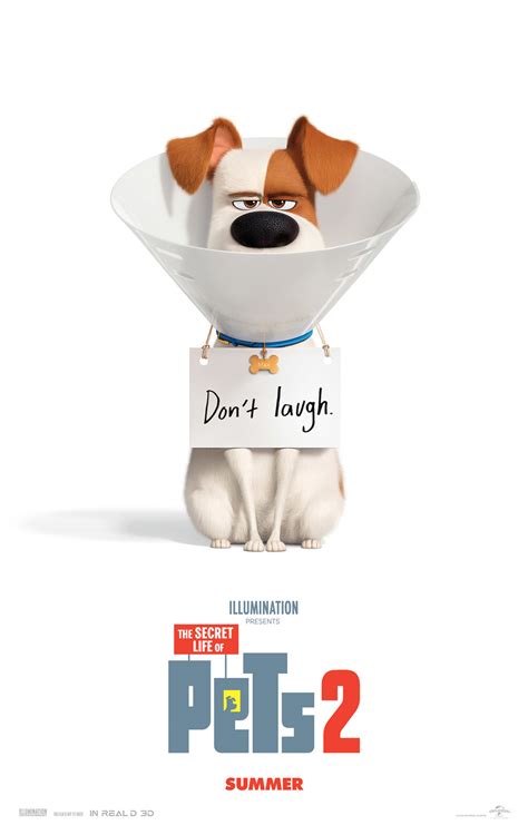 The Secret Life of Pets 2 (2019) Theatrical Cartoon