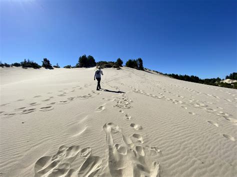 Oregon Dunes National Recreation Area: September 2021 | Camping Trip ...