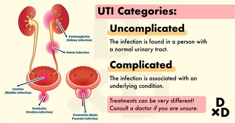 Uti Treatment Guidelines 2024 - Chlo Melesa