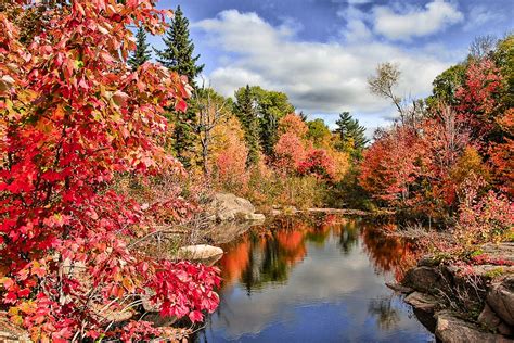 11 Best Places to See Fall Colours in Ontario - Walkaboot Travel