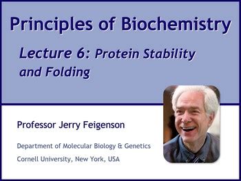 Protein stability and folding | HSTalks