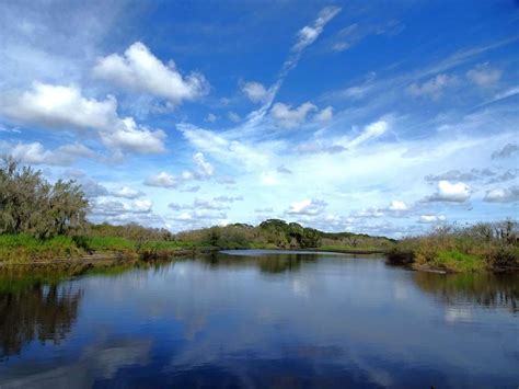 Hiking Myakka River State Park: a Wildlife Paradise - Stumble Safari