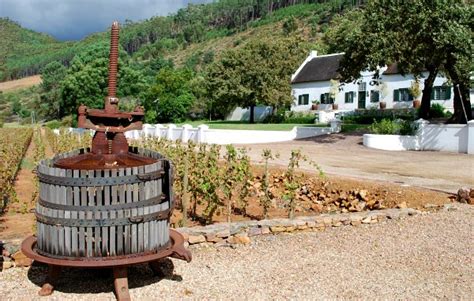 Cape Town Wine Tours - Recommended Tours & Review | Free-City-Guides.com