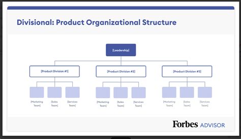 7 Organizational Structure Types (With Examples) – Forbes Advisor