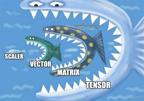 Scaler vs Vector vs Matrix vs Tensor : r/physicsmemes