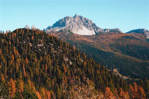 Trees covered mountain, Mountains, Trees, Autumn HD wallpaper ...