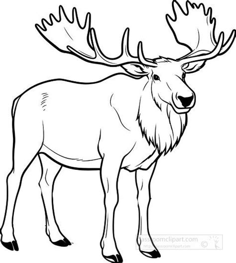 Animal Outline Clipart-elk side view show off anters black outline ...