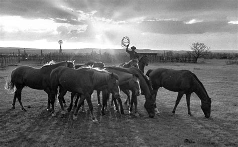 Cowboys: See Vintage LIFE Photos of American Cowboys