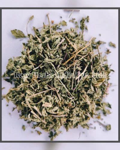 DRIED PODINA - MENTHA PIPERITA, Packaging Type: Plastic Bag at best ...