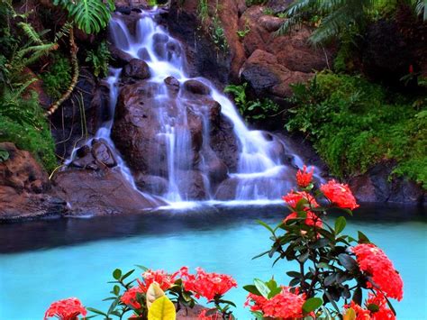 Animated Waterfall Wallpaper with Sound - WallpaperSafari