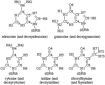 An RNA Structure Primer