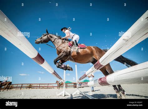 horse jumping competition Stock Photo - Alamy