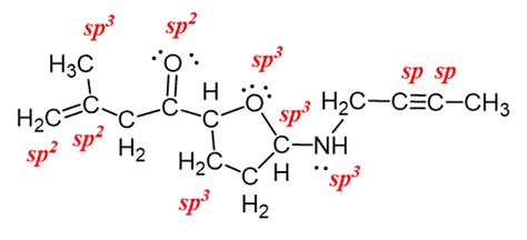 How to Quickly Determine The sp3, sp2 and sp Hybridization - Chemistry ...