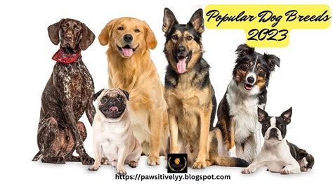 #Popular Dog Breeds 2023. Introduction Popular Dog Breeds 2023… | by ...