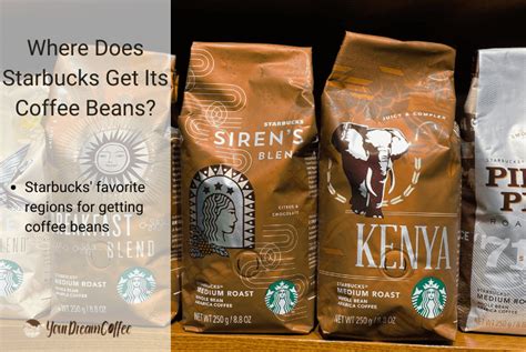 Where Does Starbucks Get Its Coffee Beans? (2025 Data)