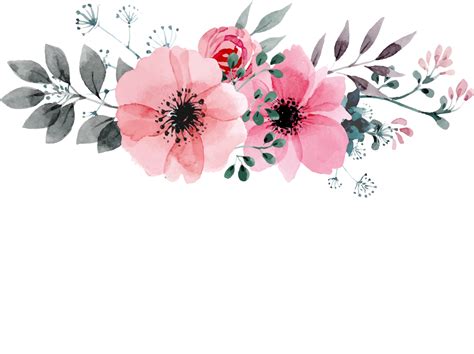 √ Watercolor Flower Border Transparent