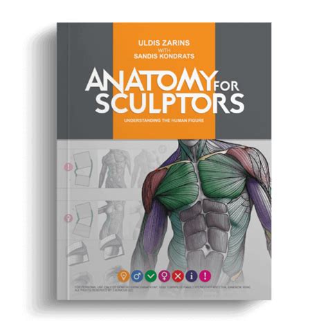 Anatomy For Sculptors | Anatomy Book Series For Artists