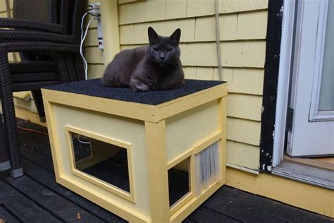 Download Outside Cat Enclosures For Winter Pics – See more ideas about ...