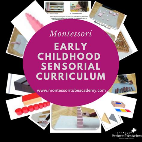 Early Childhood Sensorial Curriculum | Montessori Academy