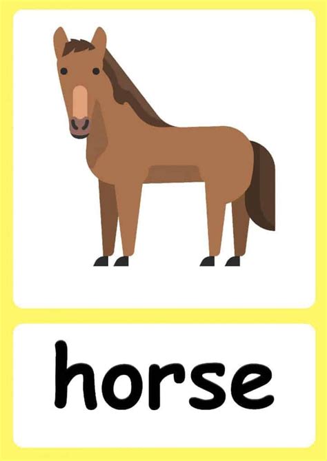 Farm Animal flashcards + FREE Farm background | Animal flashcards ...