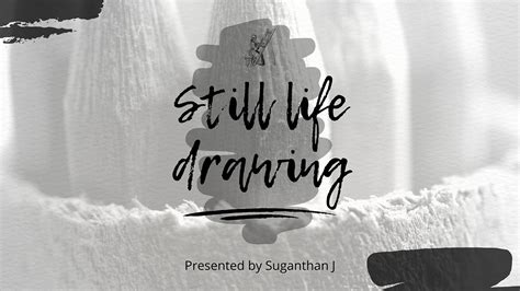 Still Life Drawing & Shading :: Behance