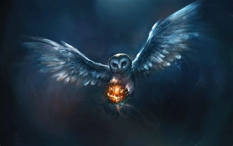 Owl Wallpapers - Top Free Owl Backgrounds - WallpaperAccess