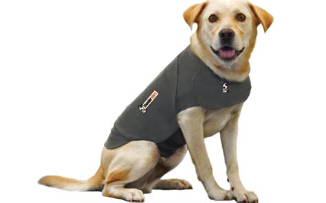 ThunderShirt - For Dogs - Heather Grey Size: Small | Elsemart