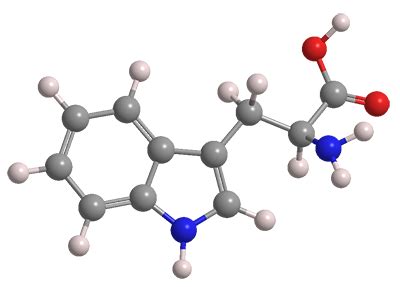 L Tryptophan Structure