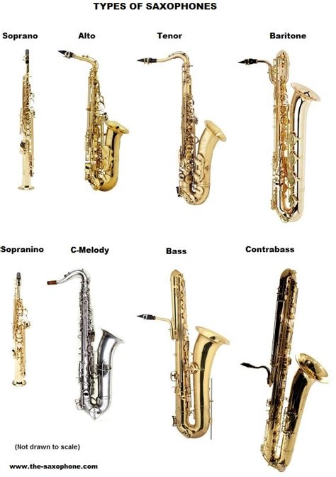 Different Types of Saxophones