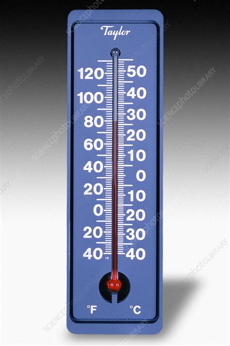 Alcohol Thermometer - Stock Image - C027/9661 - Science Photo Library