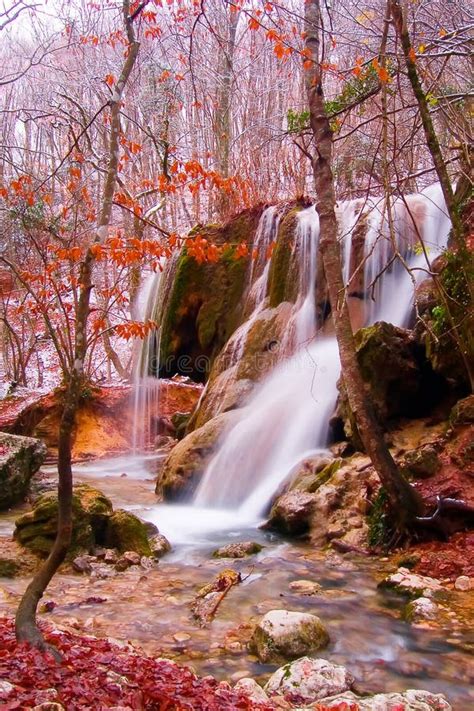 Winter falls stock photo. Image of environment, copse - 10095504