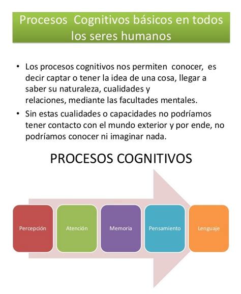 Procesos Cognitivos Basicos - Atra