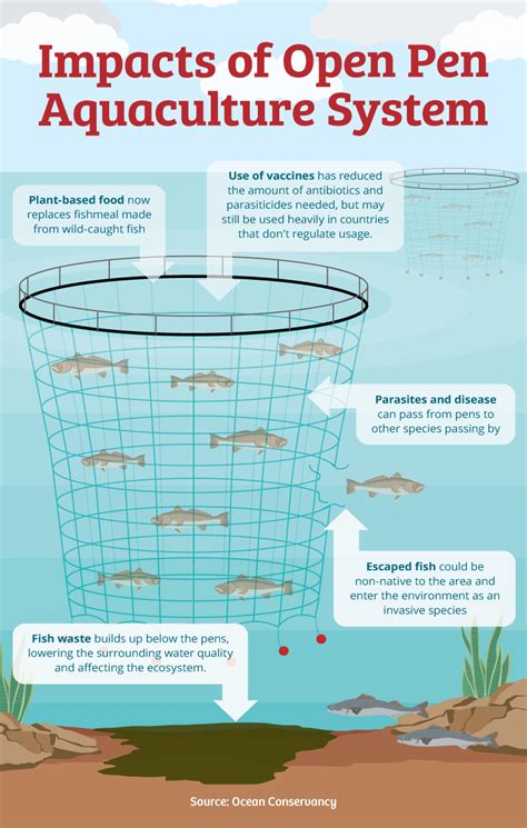 Fishing for Information: The Environmental Impact of Fish Farming ...