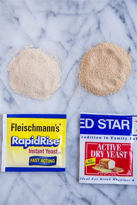 instant yeast vs active dry yeast