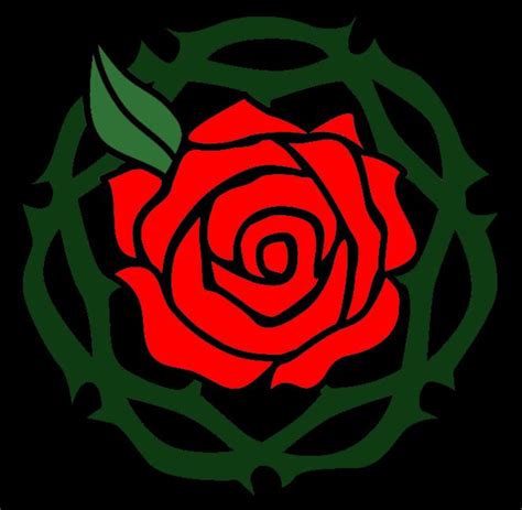 Red Rose & Thorns in 2024 | Flower phone wallpaper, Rose thorns, Red roses