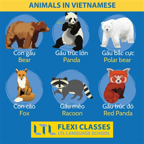 170+ Animals in Vietnamese 🦁 // Ultimate Vocab Guide & QUIZ