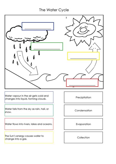 Worksheet Water Cycle Grade 4