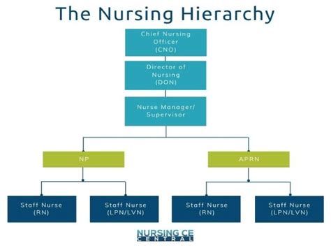 Understanding the Nursing Hierarchy: Where Do You Stand?