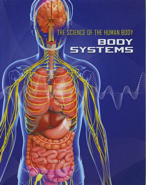 Anatomical Images Of Human Body ~ Body Planes And Anatomical Directions ...