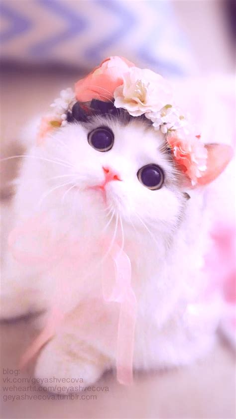 Cat Pink Kawaii Wallpapers - Top Free Cat Pink Kawaii Backgrounds ...