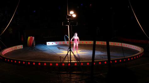 Five Things I Learned at a Three Ring Circus